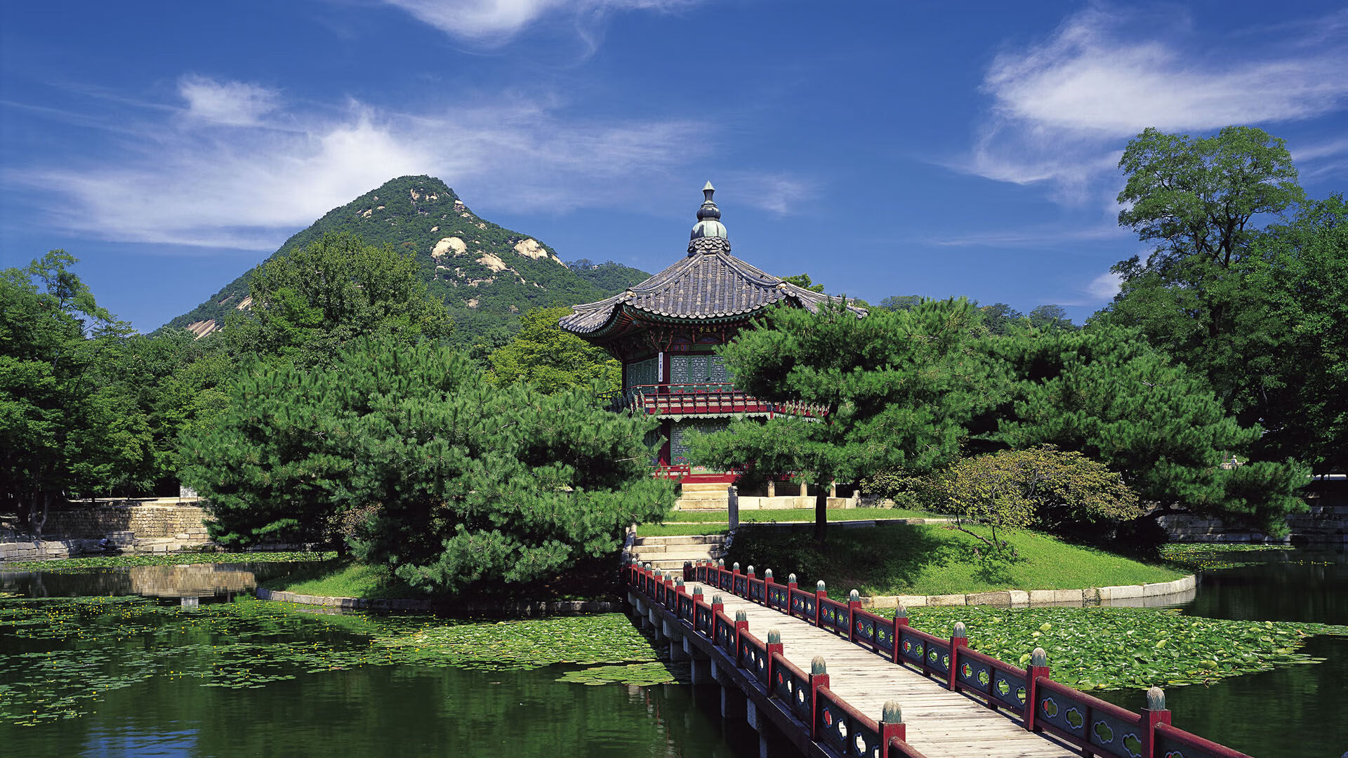 全球车迷：比赛外的文化交流，全球车系