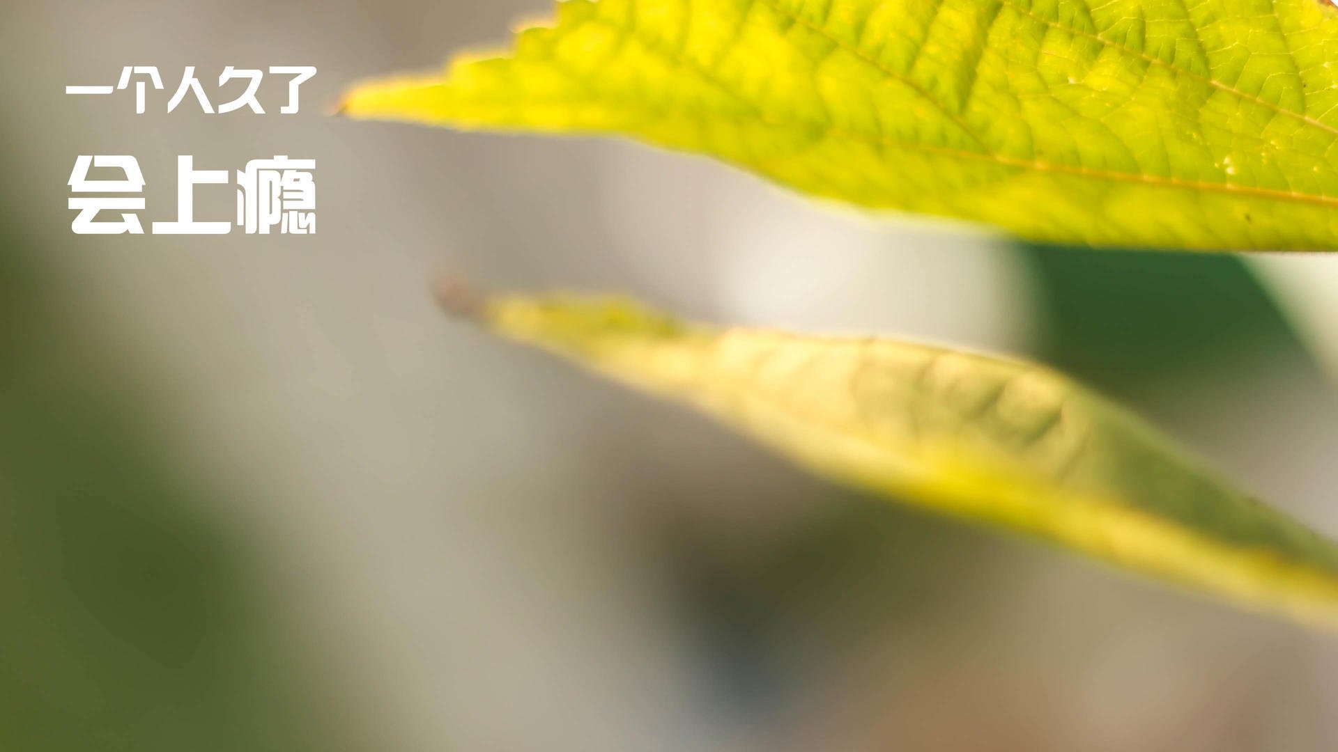 “西甲焦点对决:明星爆发,场面火爆”,西甲看点