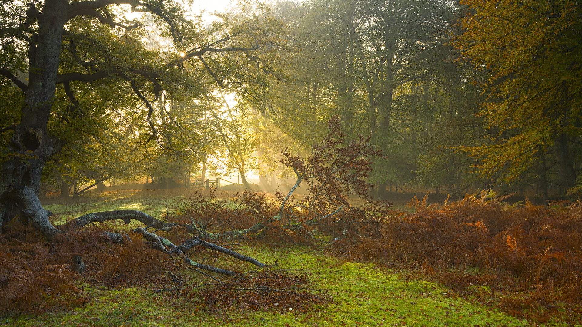 开云官方-《王者荣耀全球巡演，精彩对抗再度升级》，王者荣耀年度盛典视频