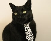 中国女篮备战东京奥运，目标东京金牌，中国女篮挺进东京奥运会