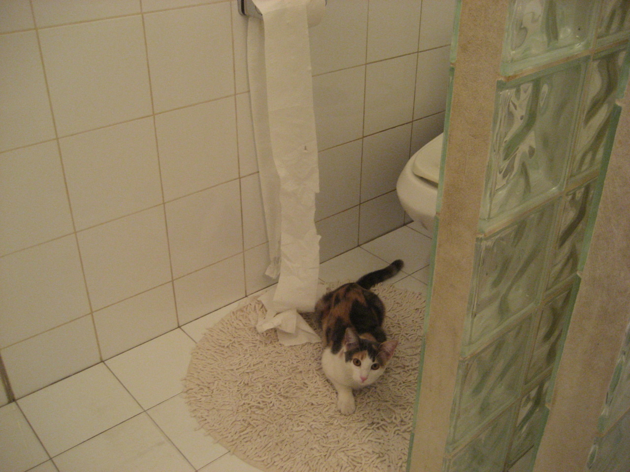 开云体育开云-在一次经典对决中，库里连续两节投中九个三分球，带领勇士轻松取胜！